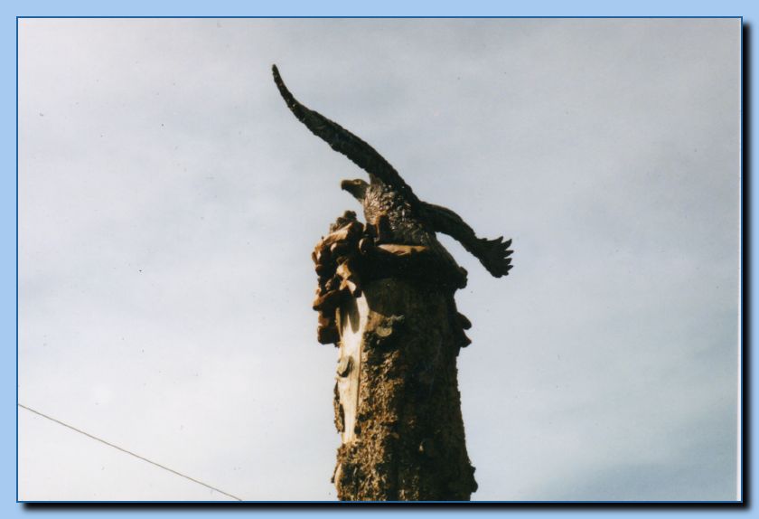 2-16 eagle with wings out, attached -archive-0012